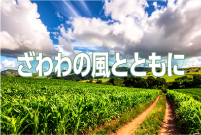 ざわわの風とともに― 想いを伝える「バガス名刺」という選択